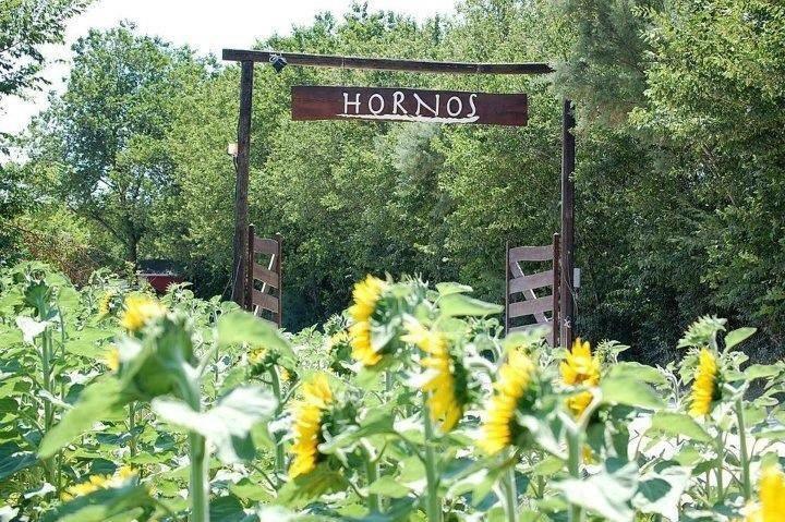 Agriturismo Hornos 누마나 외부 사진