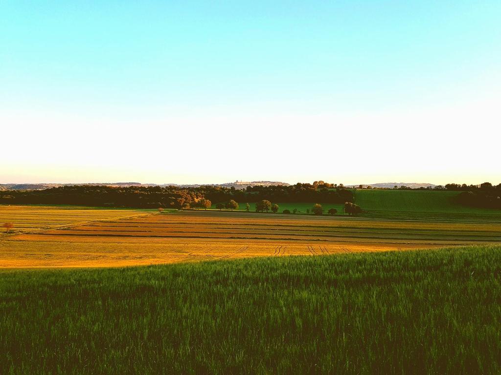 Agriturismo Hornos 누마나 외부 사진